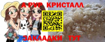индика Лесосибирск
