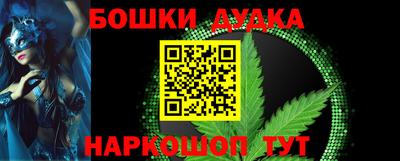 индика Лесосибирск