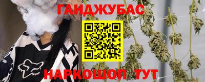 индика Лесосибирск