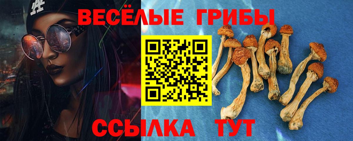 Псилоцибиновые грибы Cubensis Воскресенск